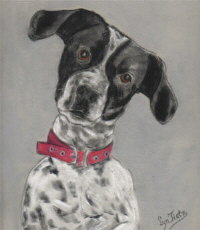 Painting of Freddie the DOg