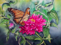 Monarch and Zinnias Photo Award Second Place